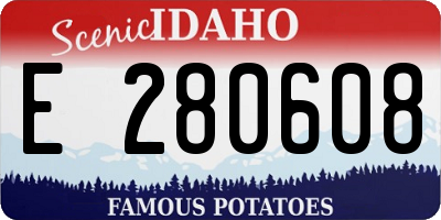 ID license plate E280608