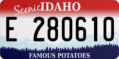ID license plate E280610