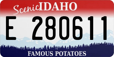 ID license plate E280611