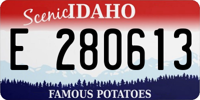 ID license plate E280613