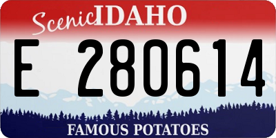 ID license plate E280614