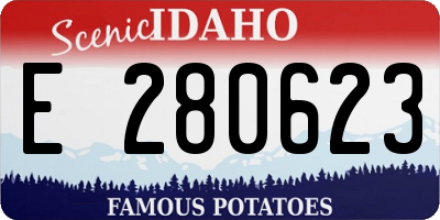 ID license plate E280623
