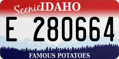 ID license plate E280664