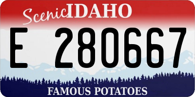 ID license plate E280667