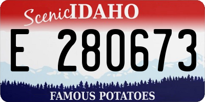 ID license plate E280673