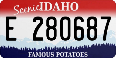 ID license plate E280687