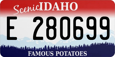 ID license plate E280699