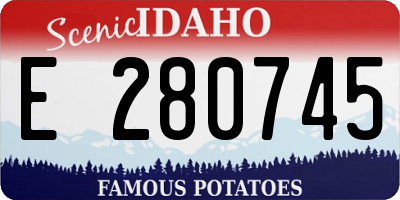 ID license plate E280745