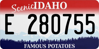 ID license plate E280755