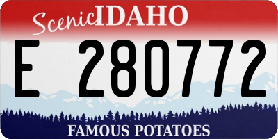 ID license plate E280772