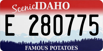 ID license plate E280775