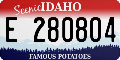 ID license plate E280804