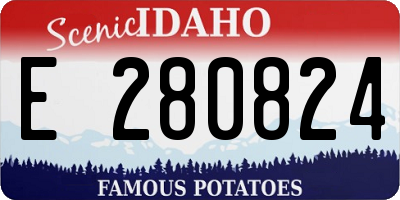 ID license plate E280824