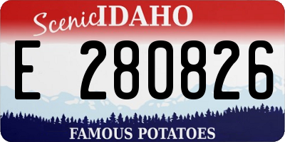 ID license plate E280826