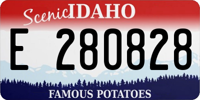ID license plate E280828