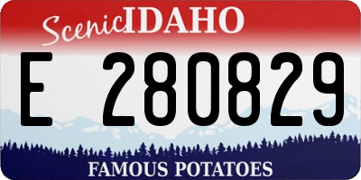 ID license plate E280829