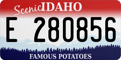 ID license plate E280856