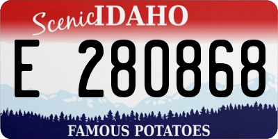 ID license plate E280868