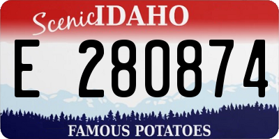 ID license plate E280874