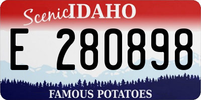 ID license plate E280898