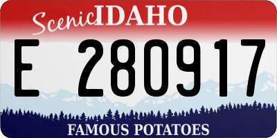 ID license plate E280917