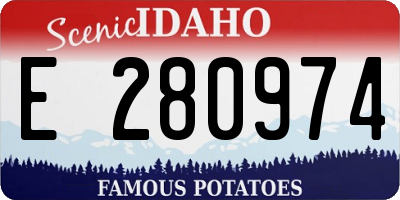 ID license plate E280974