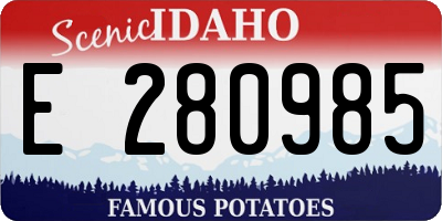 ID license plate E280985