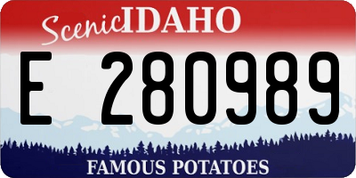 ID license plate E280989