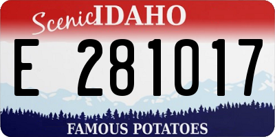 ID license plate E281017