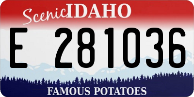 ID license plate E281036