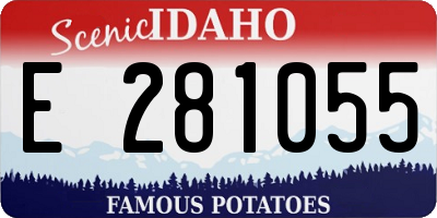 ID license plate E281055