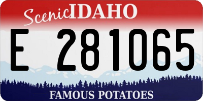 ID license plate E281065