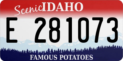 ID license plate E281073
