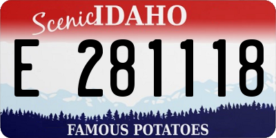ID license plate E281118