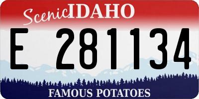 ID license plate E281134
