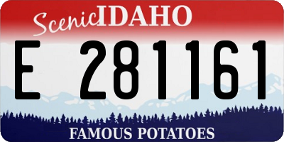 ID license plate E281161
