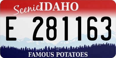 ID license plate E281163