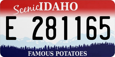 ID license plate E281165