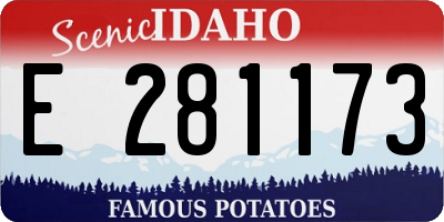 ID license plate E281173