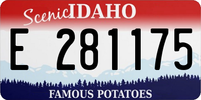 ID license plate E281175