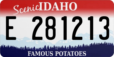 ID license plate E281213