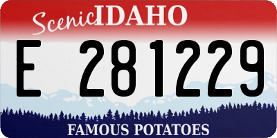 ID license plate E281229