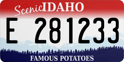 ID license plate E281233