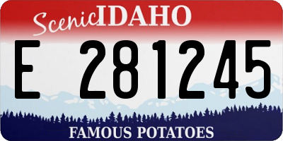 ID license plate E281245