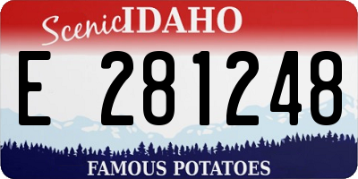 ID license plate E281248