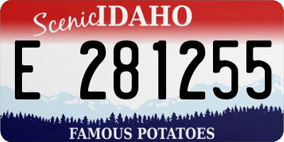 ID license plate E281255
