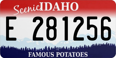 ID license plate E281256