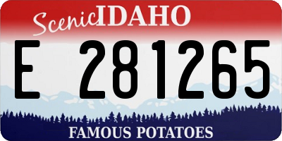 ID license plate E281265
