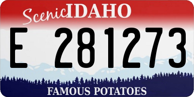 ID license plate E281273