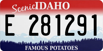 ID license plate E281291